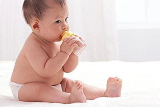 孕妇能吃荠菜吗(怀孕初期可以吃荠菜吗，想吃，但是听说不能吃)