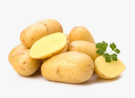 备孕期可以吃马铃薯/土豆吗？