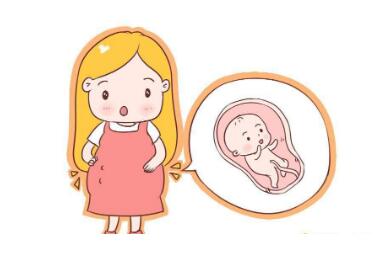 胎动可以辨别胎儿性别吗？
