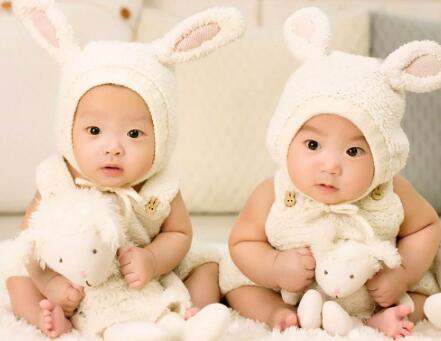 备孕梦到双胞胎是胎梦吗
