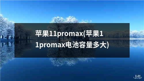 苹果11promax(苹果11promax电池容量多大)