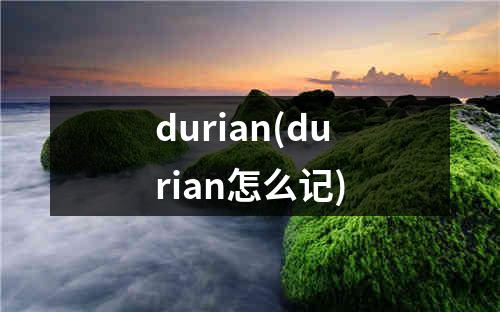 durian(durian怎么记)