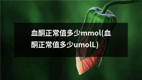 血酮正常值多少mmol(血酮正常值多少umolL)